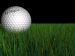 Golf Anyone?