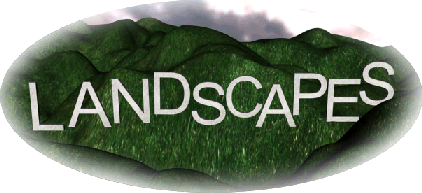 Landscapes Gallery