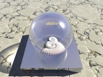 Seaside Paperweight